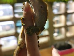 -藦茜花园宠物主题亲子互动体验馆(国顺东路店)