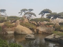 -罗红摄影艺术馆