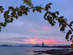 -双合园·海鲜水饺青岛菜(上清路店)