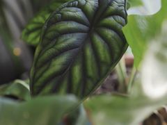 -About Bistro關於·泰式家庭料理