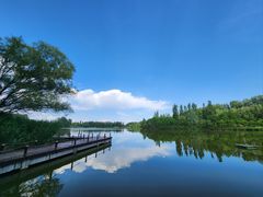 -翠湖国家城市湿地公园