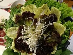 -井格重庆火锅(新世纪店)