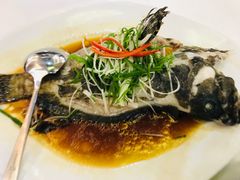 清蒸石斑鱼-明香海鲜酒家(华强北店)