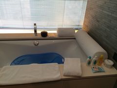 璞丽酒店-上海璞麗酒店