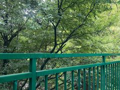 -浙北大峡谷