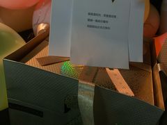 -BLACKSWAN黑天鹅(环球店)