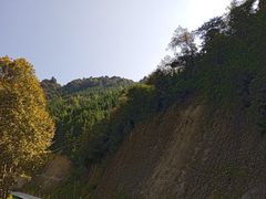 -永丰国家森林公园