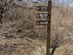 -阳台山自然风景区