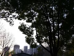 -堤角公园