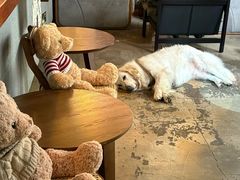 -咖法森林·咖啡  酒吧(天河店)