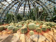 -昆明市金殿名胜区