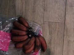 -三亚新鸿港水果一级批发市场