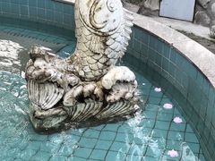 -陕西师范大学(雁塔校区)