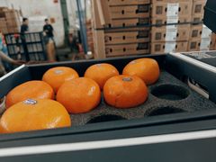 -西郊国际农产品交易中心