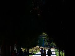 -武陵山森林公园