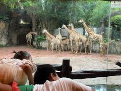 -长鹿旅游休博园