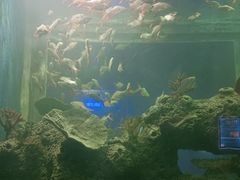 -石家庄海洋公园