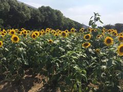 -南京信息职业技术学院