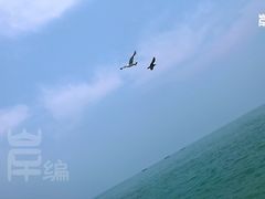 -海驴岛(荣成市)