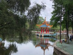 -金砂公园