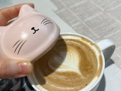 -吉丁鸟咖·异宠·寄养