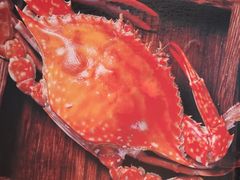 -虾宝贝胶东海鲜·渔家菜(小西天店)
