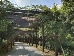 -九龙潭景区