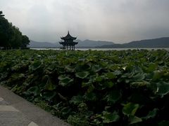 -西湖外事游船(花港观鱼码头)