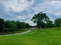 -盘龙城国家考古遗址公园