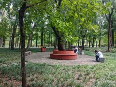 -洛阳市隋唐城遗址植物园