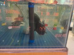 -辣小妮de川菜馆(红旗Mall店)