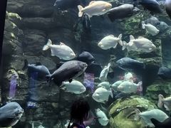 -成都浩海立方海洋公园