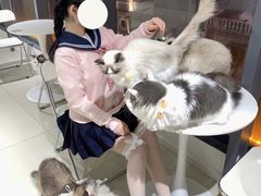 -怪兽屋·羊驼·猫咖·狗咖(俊华广场店)