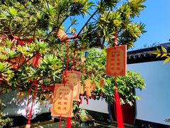 -东山雕花楼