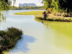 -大兴滨河森林公园