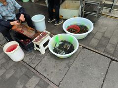 -铜元老码头鳝鱼火锅