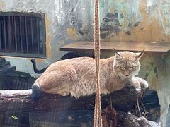 -青藏高原野生动物园