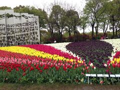 iphone_upload_pic-上海鲜花港