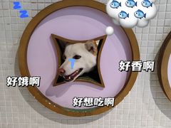 -柴务处·柴犬主题狗咖