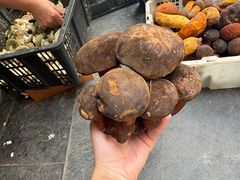 -七采菌园·野生菌石锅鱼(环城北路店)