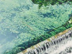 -百花洲