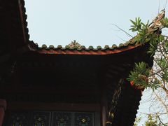 -棠湖公园