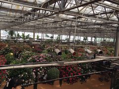 -墨尔本皇家植物园