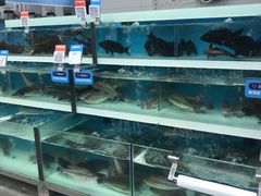 -盒马鲜生(大成店)