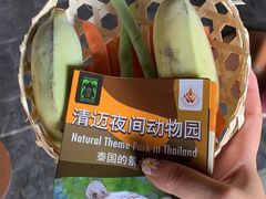 -清迈夜间动物园