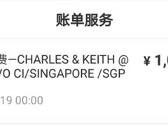 -Charles & Keith(VivoCity)