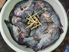 烤鱼-杨合林啊兰烤鱼