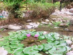 -明月山天沐温泉度假村