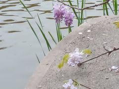 -郑和公园