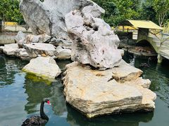 -八景休閒山莊  廣東十大名山莊